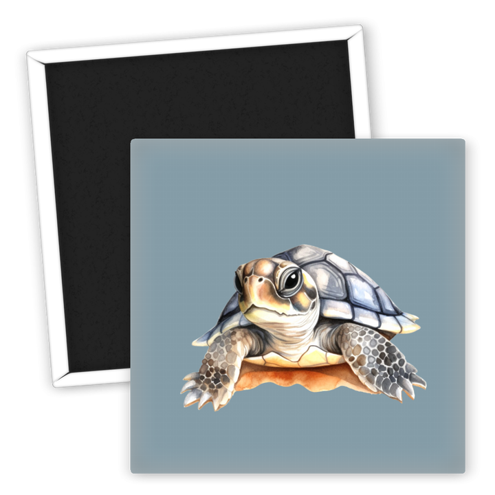 Zum Produkt Kühlschrankmagnet Schildkröte farbenfroh mit Detailzeichnung