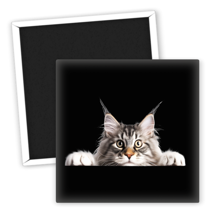 Zum Produkt Kühlschrankmagnet für Katzenliebhaber Maine Coon Motiv