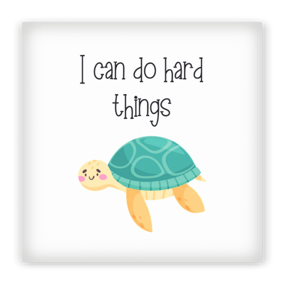 11667-1