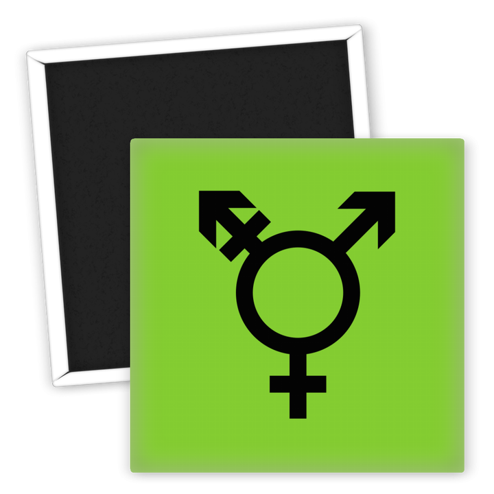 Zum Produkt LGBTQ Kühlschrankmagnet Israel Genderqueer Pride Flagge