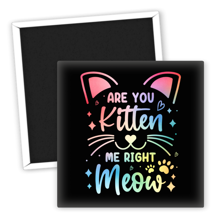 Zum Produkt Kühlschrankmagnet Are You Kitten Me Right Meow für Katzenliebhaber