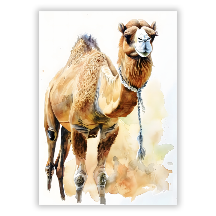 Zum Produkt Kamel Poster > Tierposter