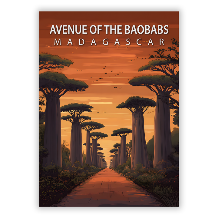Zum Produkt Avenue of the Baobabs Poster - Sehenswürdigkeit Madagascar