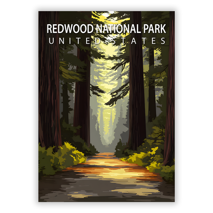 Zum Produkt Redwood National Park Poster - Sehenswürdigkeit Amerika USA