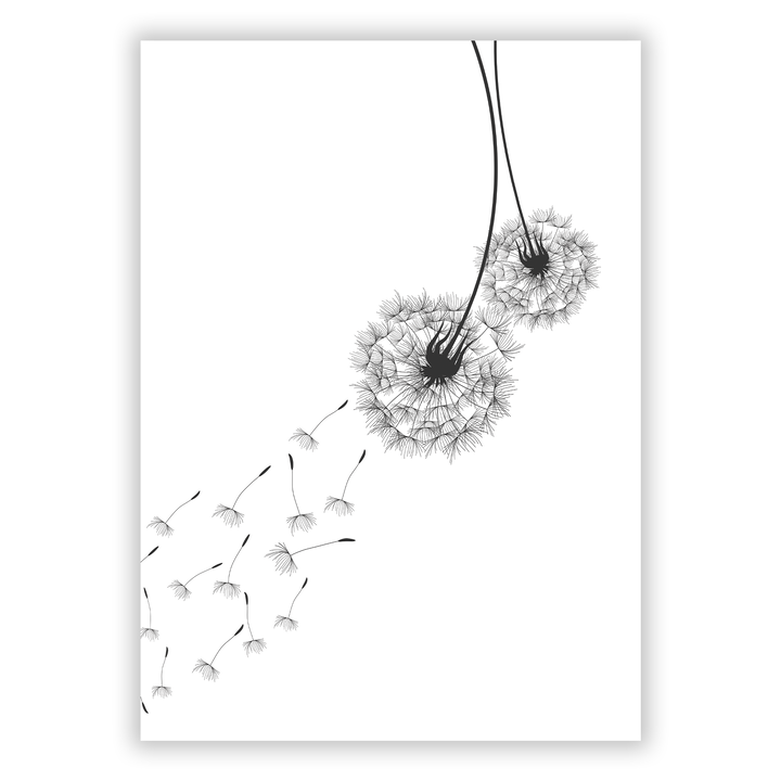 Zum Produkt Pusteblume Poster