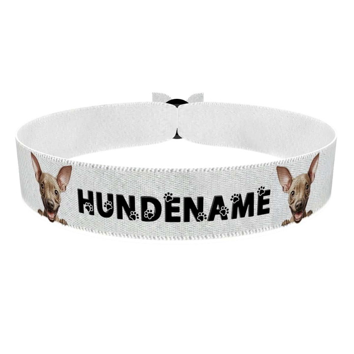 Zum Produkt American Hairless Terrier Stoffarmband anpassbar mit Name