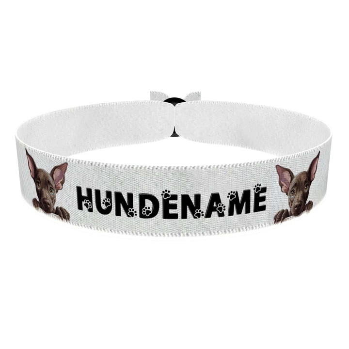 Zum Produkt Xoloitzcuintli Stoffarmband anpassbar mit Name